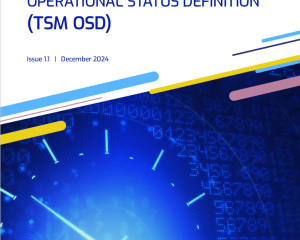 Galileo Timing Service Message (TSM) Operational Service Definition (OSD)